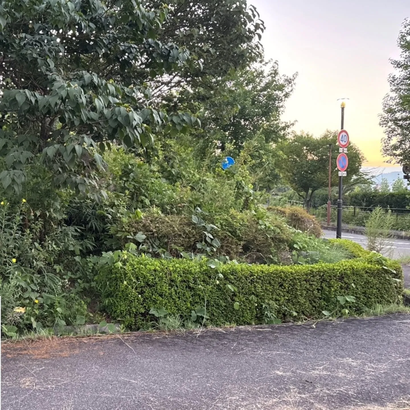 東広島建設株式会社では、剪定を含む幅広い庭園管理サービスを迅...