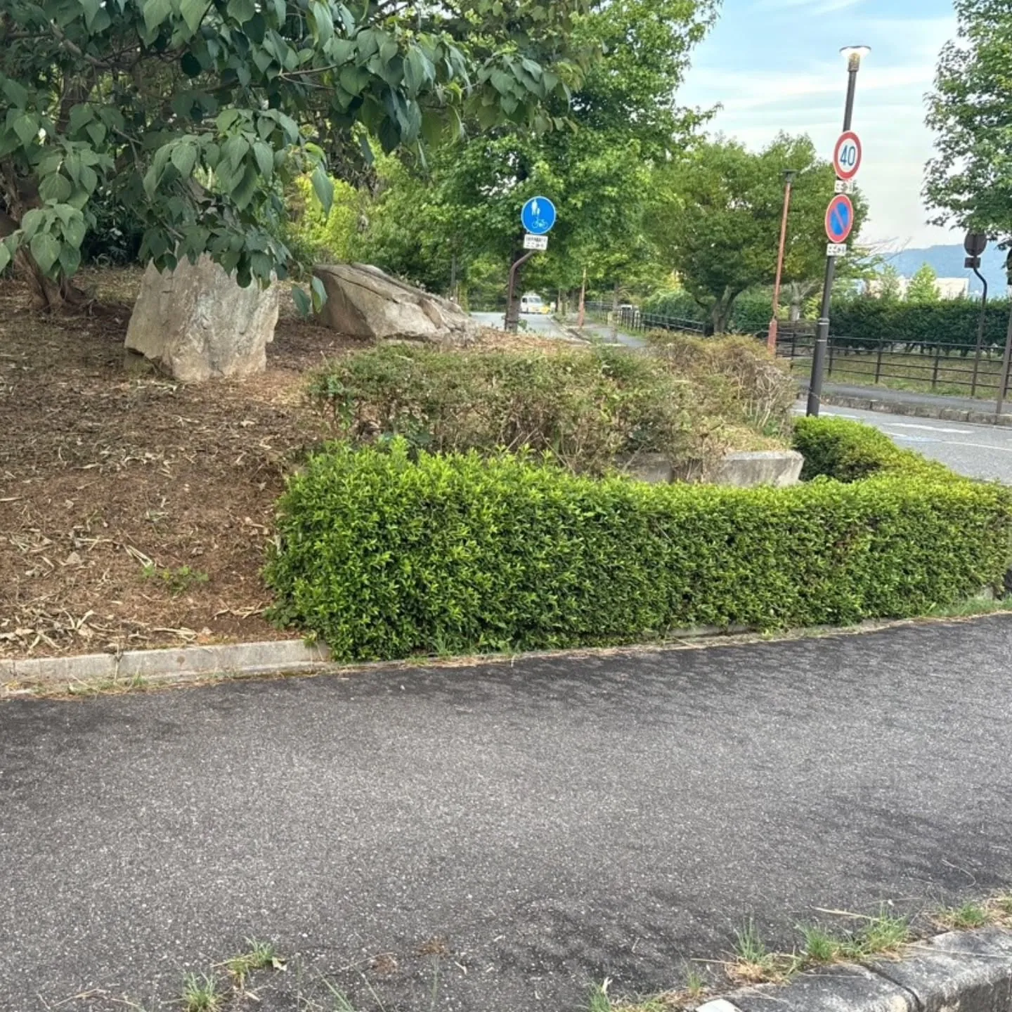 東広島建設株式会社では、剪定を含む幅広い庭園管理サービスを迅...