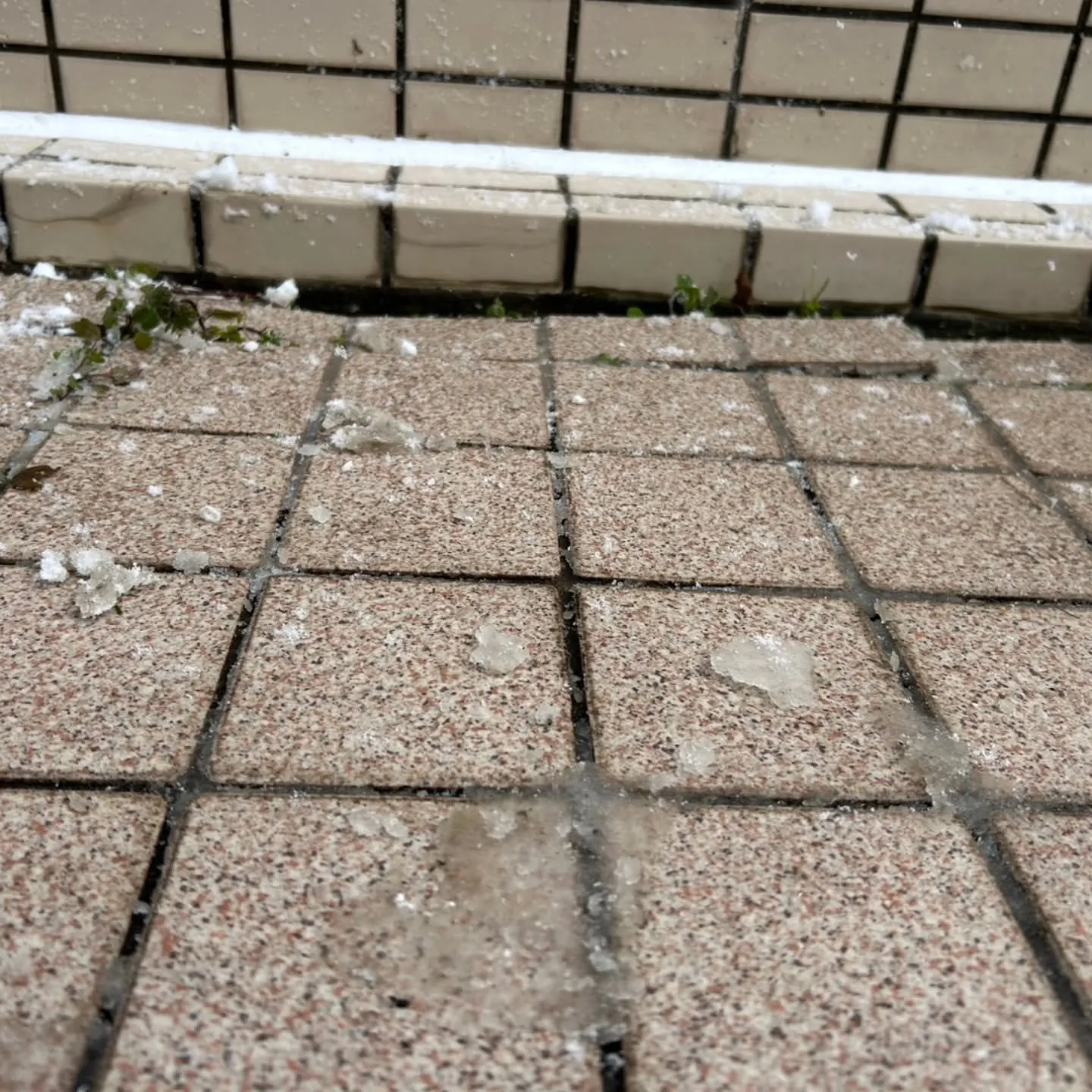 東広島建設株式会社では、玄関の修繕工事を迅速かつ丁寧に対応し...